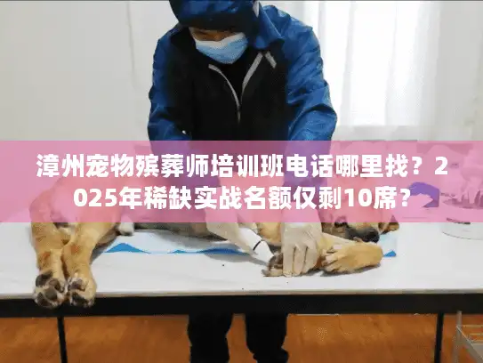 漳州宠物殡葬师培训班电话哪里找？2025年稀缺实战名额仅剩10席？