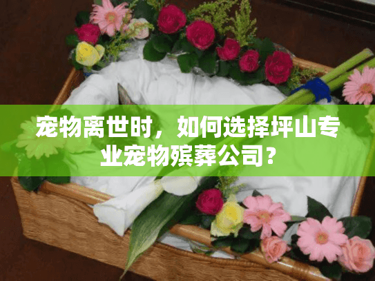 宠物离世时,如何选择坪山专业宠物殡葬公司? 宠物离世时,如何选择坪山专业宠物殡葬公司?