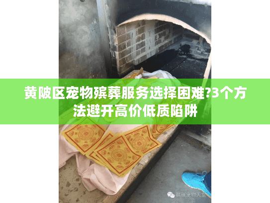 黄陂区宠物殡葬服务选择困难?3个方法避开高价低质陷阱 黄陂区宠物殡葬服务选择困难?3个方法避开高价低质陷阱