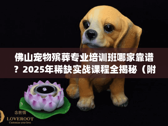 佛山宠物殡葬专业培训班哪家靠谱?2025年稀缺实战课程全揭秘(附学员案例) 佛山宠物殡葬专业培训班哪家靠谱?2025年稀缺实战课程全揭秘(附学员案例)
