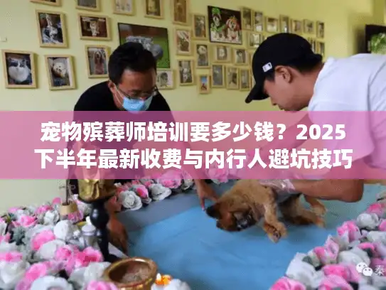 宠物殡葬师培训要多少钱？2025下半年最新收费与内行人避坑技巧