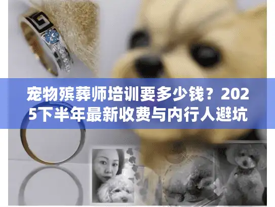 宠物殡葬师培训要多少钱？2025下半年最新收费与内行人避坑技巧