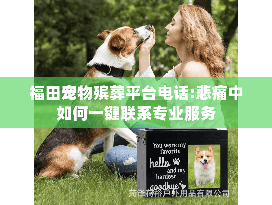 福田宠物殡葬平台电话:悲痛中如何一键联系专业服务