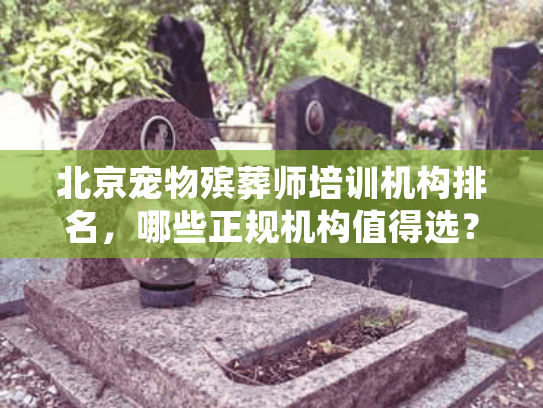 北京宠物殡葬师培训机构排名,哪些正规机构值得选?3个真实案例教你避坑 北京宠物殡葬师培训机构排名,哪些正规机构值得选?3个真实案例教你避坑