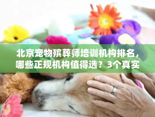 北京宠物殡葬师培训机构排名,哪些正规机构值得选?3个真实案例教你避坑 北京宠物殡葬师培训机构排名,哪些正规机构值得选?3个真实案例教你避坑
