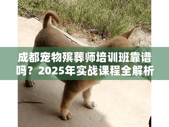 成都宠物殡葬师培训班靠谱吗？2025年实战课程全解析，铲屎官/创业者必看！