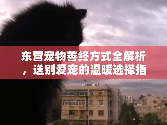 东营宠物善终方式全解析，送别爱宠的温暖选择指南