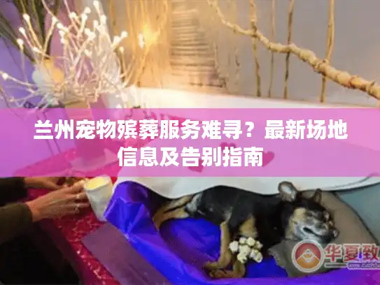 兰州宠物殡葬服务难寻？最新场地信息及告别指南