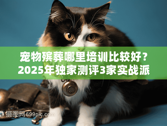 宠物殡葬哪里培训比较好？2025年独家测评3家实战派机构+避坑干货
