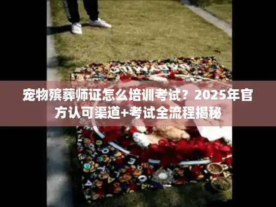 宠物殡葬师证怎么培训考试？2025年官方认可渠道+考试全流程揭秘