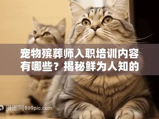宠物殡葬师入职培训内容有哪些？揭秘鲜为人知的7大核心模块