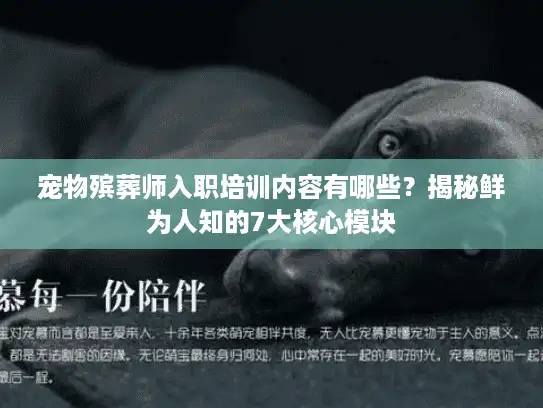 宠物殡葬师入职培训内容有哪些？揭秘鲜为人知的7大核心模块
