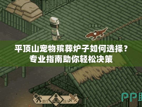 平顶山宠物殡葬炉子如何选择？专业指南助你轻松决策