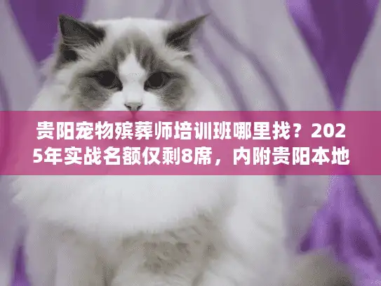 贵阳宠物殡葬师培训班哪里找？2025年实战名额仅剩8席，内附贵阳本地盈利案例