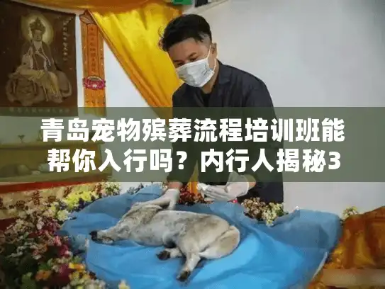 青岛宠物殡葬流程培训班能帮你入行吗？内行人揭秘3个关键收获