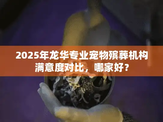 2025年龙华专业宠物殡葬机构满意度对比，哪家好？