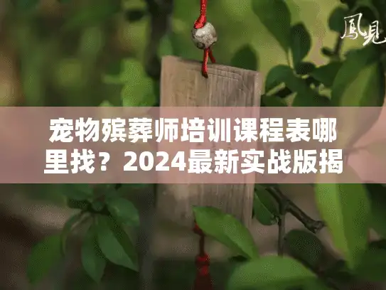 宠物殡葬师培训课程表哪里找？2024最新实战版揭秘，新手入行必看
