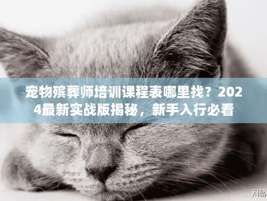 宠物殡葬师培训课程表哪里找？2024最新实战版揭秘，新手入行必看