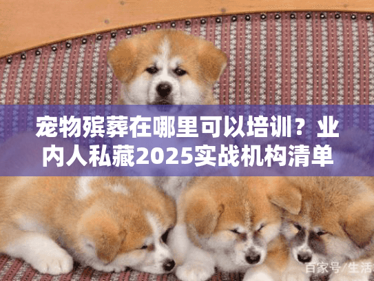 宠物殡葬在哪里可以培训?业内人私藏2025实战机构清单+避坑干货 宠物殡葬在哪里可以培训?业内人私藏2025实战机构清单+避坑干货