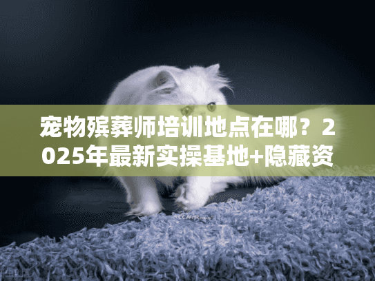宠物殡葬师培训地点在哪？2025年最新实操基地+隐藏资源全揭秘