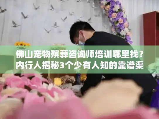 佛山宠物殡葬咨询师培训哪里找?内行人揭秘3个少有人知的靠谱渠道 佛山宠物殡葬咨询师培训哪里找?内行人揭秘3个少有人知的靠谱渠道