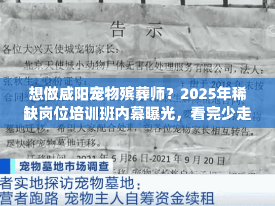 想做咸阳宠物殡葬师？2025年稀缺岗位培训班内幕曝光，看完少走3年弯路