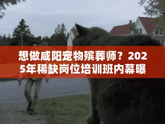 想做咸阳宠物殡葬师？2025年稀缺岗位培训班内幕曝光，看完少走3年弯路