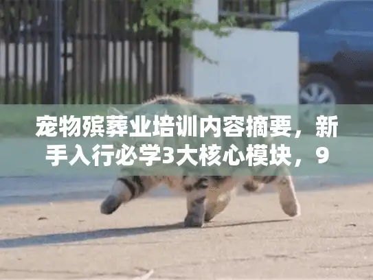 宠物殡葬业培训内容摘要，新手入行必学3大核心模块，90%从业者都忽略的细节！