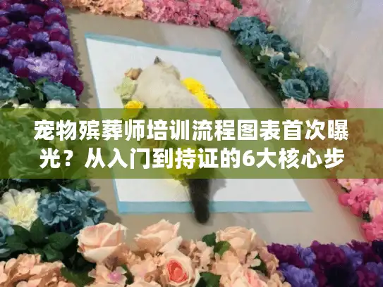 宠物殡葬师培训流程图表首次曝光？从入门到持证的6大核心步骤全解析