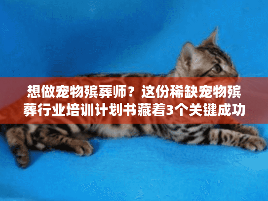 想做宠物殡葬师？这份稀缺宠物殡葬行业培训计划书藏着3个关键成功密码