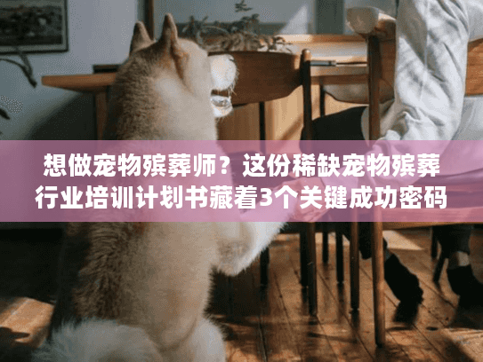 想做宠物殡葬师？这份稀缺宠物殡葬行业培训计划书藏着3个关键成功密码