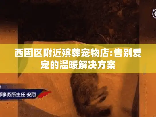 西固区附近殡葬宠物店:告别爱宠的温暖解决方案 西固区附近殡葬宠物店:告别爱宠的温暖解决方案