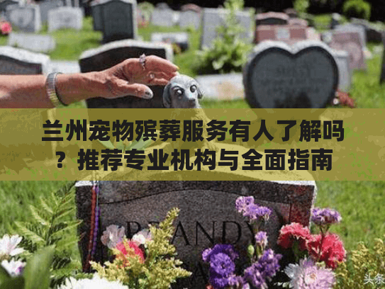 兰州宠物殡葬服务有人了解吗？推荐专业机构与全面指南