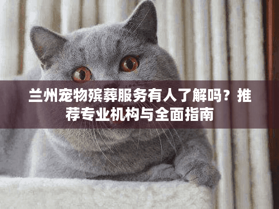 兰州宠物殡葬服务有人了解吗？推荐专业机构与全面指南
