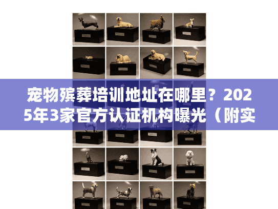 宠物殡葬培训地址在哪里？2025年3家官方认证机构曝光（附实地探访细节）