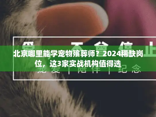 北京哪里能学宠物殡葬师？2024稀缺岗位，这3家实战机构值得选