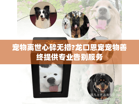 宠物离世心碎无措?龙口恩宠宠物善终提供专业告别服务