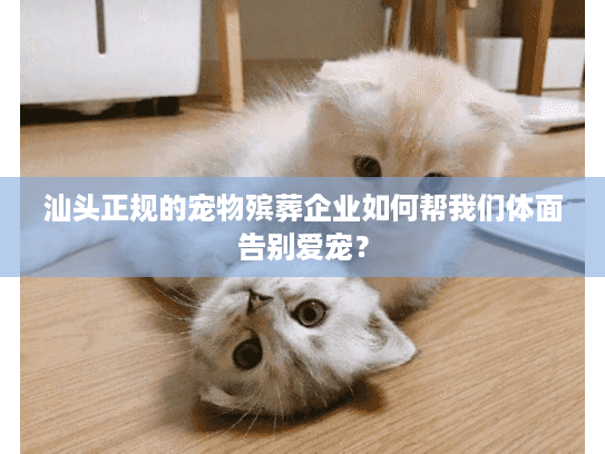 汕头正规的宠物殡葬企业如何帮我们体面告别爱宠? 汕头正规的宠物殡葬企业如何帮我们体面告别爱宠?