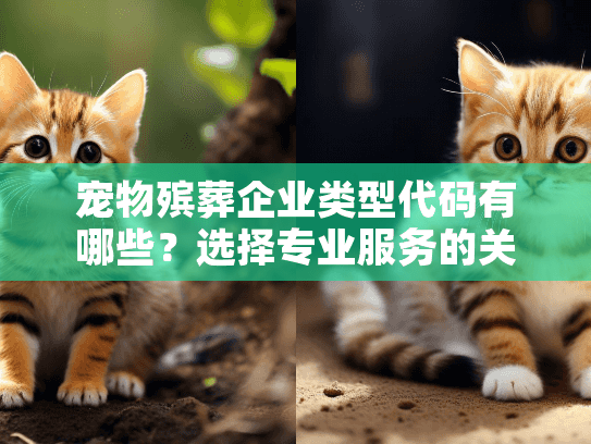 宠物殡葬企业类型代码有哪些？选择专业服务的关键依据