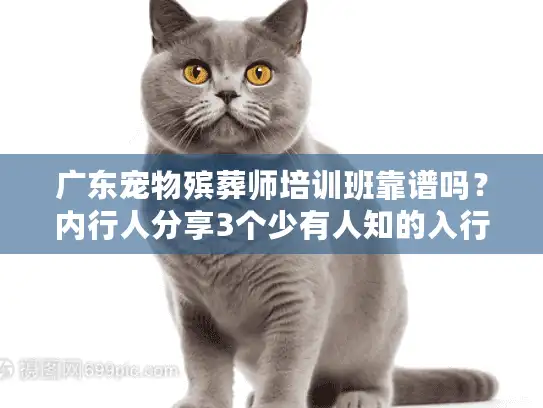 广东宠物殡葬师培训班靠谱吗？内行人分享3个少有人知的入行捷径