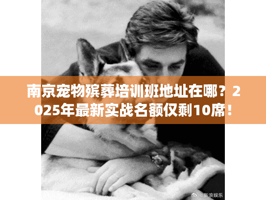南京宠物殡葬培训班地址在哪?2025年最新实战名额仅剩10席! 南京宠物殡葬培训班地址在哪?2025年最新实战名额仅剩10席!