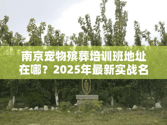 南京宠物殡葬培训班地址在哪?2025年最新实战名额仅剩10席! 南京宠物殡葬培训班地址在哪?2025年最新实战名额仅剩10席!
