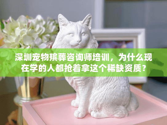 深圳宠物殡葬咨询师培训,为什么现在学的人都抢着拿这个稀缺资质? 深圳宠物殡葬咨询师培训,为什么现在学的人都抢着拿这个稀缺资质?