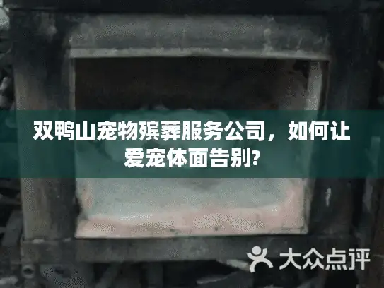 双鸭山宠物殡葬服务公司，如何让爱宠体面告别?