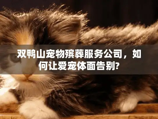 双鸭山宠物殡葬服务公司，如何让爱宠体面告别?
