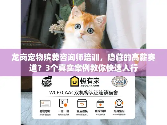 龙岗宠物殡葬咨询师培训，隐藏的高薪赛道？3个真实案例教你快速入行