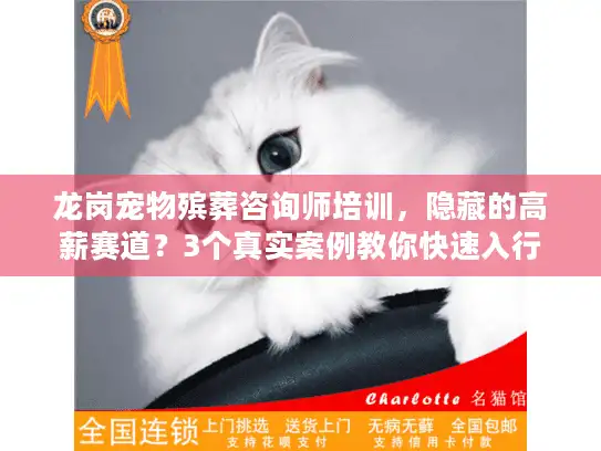 龙岗宠物殡葬咨询师培训，隐藏的高薪赛道？3个真实案例教你快速入行