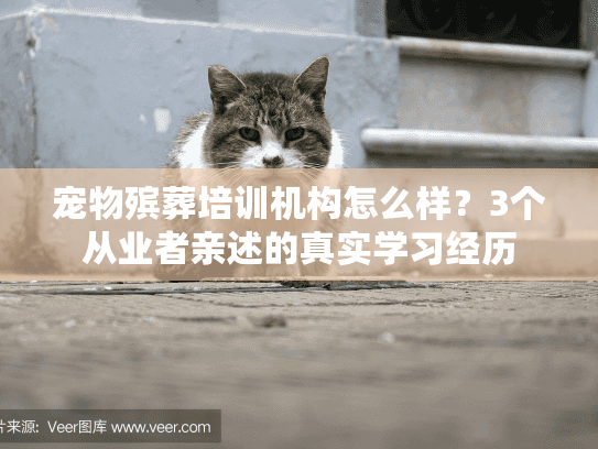 宠物殡葬培训机构怎么样?3个从业者亲述的真实学习经历 宠物殡葬培训机构怎么样?3个从业者亲述的真实学习经历