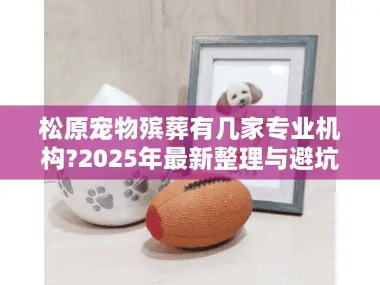 松原宠物殡葬有几家专业机构?2025年最新整理与避坑指南