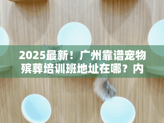 2025最新！广州靠谱宠物殡葬培训班地址在哪？内附3个实战案例避坑指南
